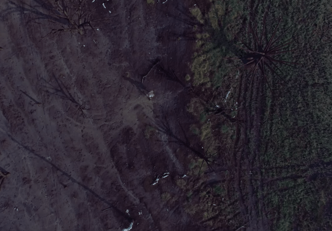 Screen Shot 2018-08-22 at 8.02.00 AM